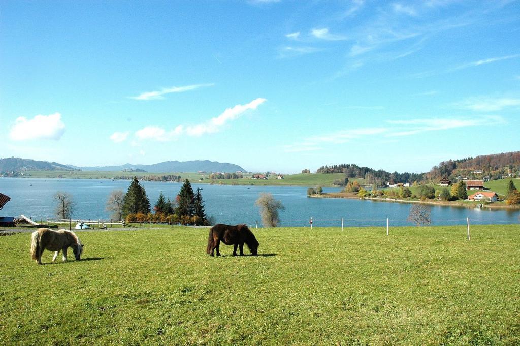 B&B Ferienhof Am See Willerzell Zewnętrze zdjęcie