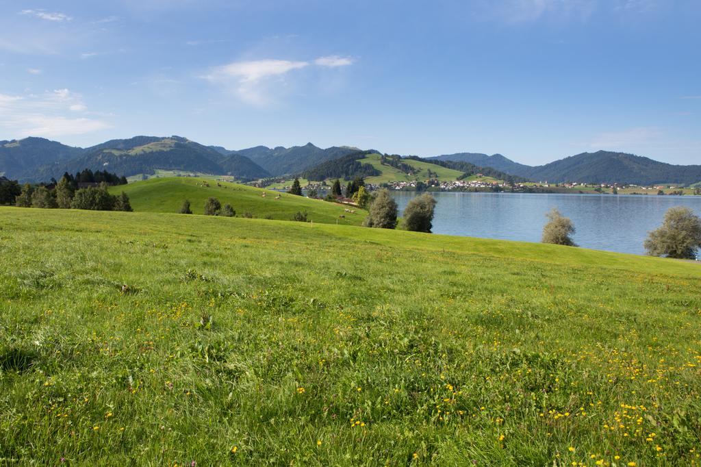 B&B Ferienhof Am See Willerzell Zewnętrze zdjęcie